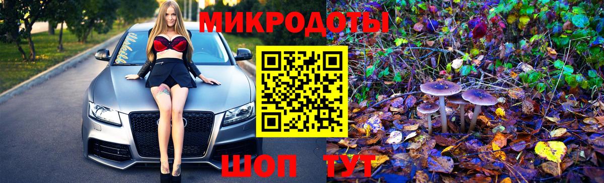 Галлюциногенные грибы Psilocybine cubensis  Вход с VPN  Каменка 