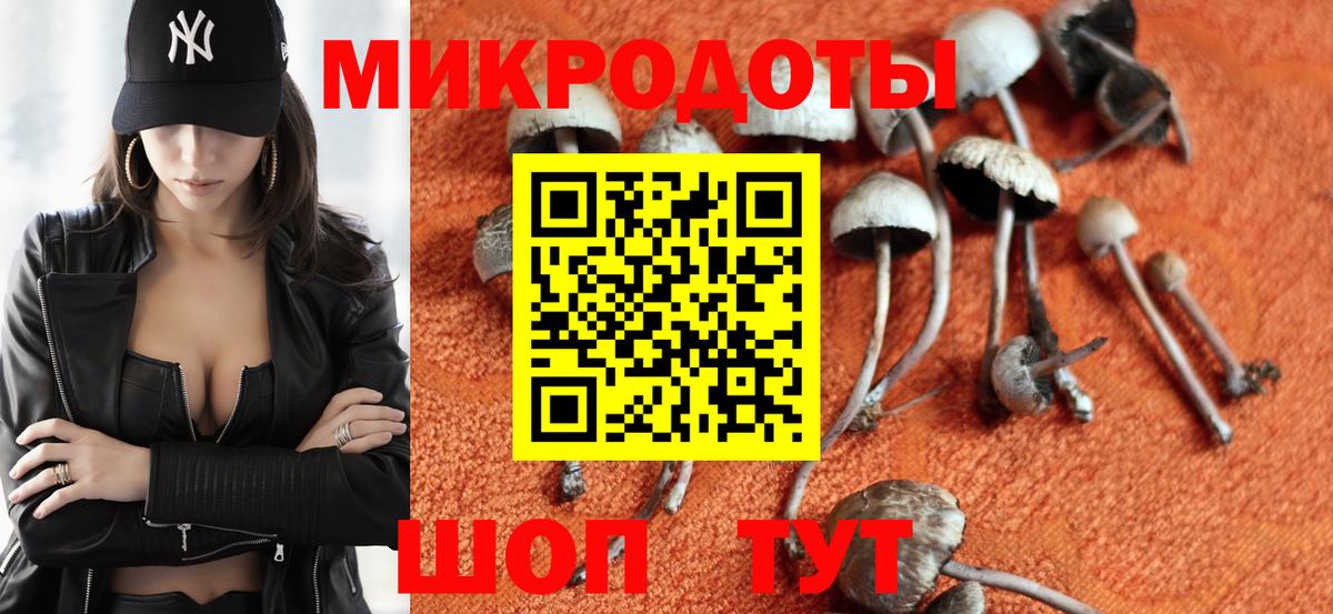 Галлюциногенные грибы мухоморы Каменка